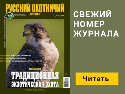 Несколько слов в защиту конверсионных (и не только) полуавтоматов