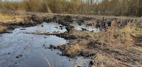 В спальном районе Владивостока потекла мазутная река