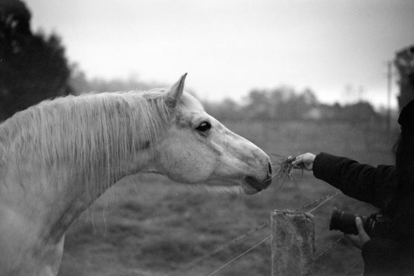 Анонсирован объектив Thypoch Simera 50mm F/1.4 ASPH для Leica M. Примеры снимков