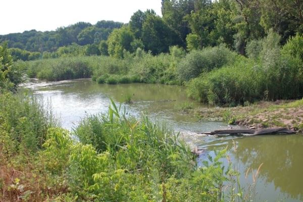 В Ростовской области расчистят балку реки Темерник