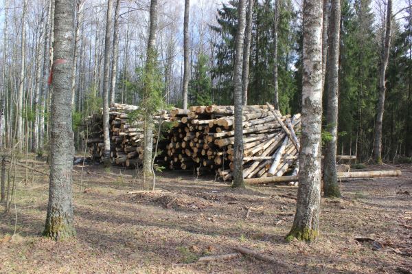 Несколько слов в защиту конверсионных (и не только) полуавтоматов