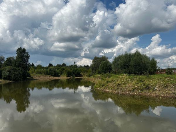 В Наро-Фоминском городском округе завершена расчистка двух водоемовВ Министерстве экологии Московской области сообщили, что подведомственное министерству ГБУ "Дирекция экологических проектов" завершило санитарную расчистку двух прудов, вошедших в программу «100 прудов и озер».